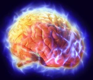 Imacon Color Scanner